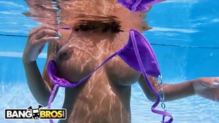 Sexy - Brown Bunnies Compilation Featuring Sarai Minx, Numi Zarah, August Skye And More!