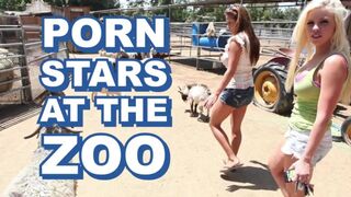 Sexy - Sexy Pornstars Invade Famous Zoo & Fuck Zookeeper