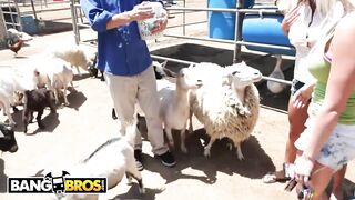 Sexy - Sexy Pornstars Invade Famous Zoo & Fuck Zookeeper
